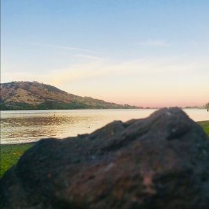 Meet your Posher, Hector